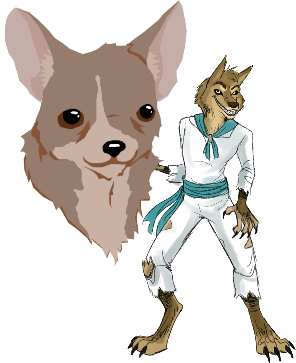 Señor Fluffington (He / Him)